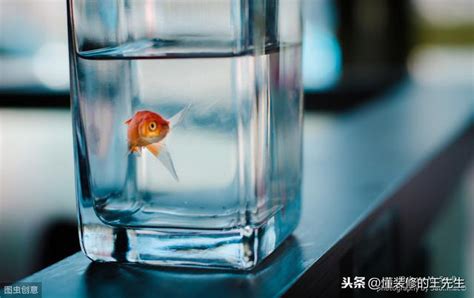 魚死了怎麼處理|家裡養的魚死了怎麼處理，魚死有哪些原因